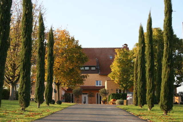 Feiern In Nierstein Bei Gehring